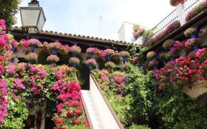 Ruta de Patios San Basilio